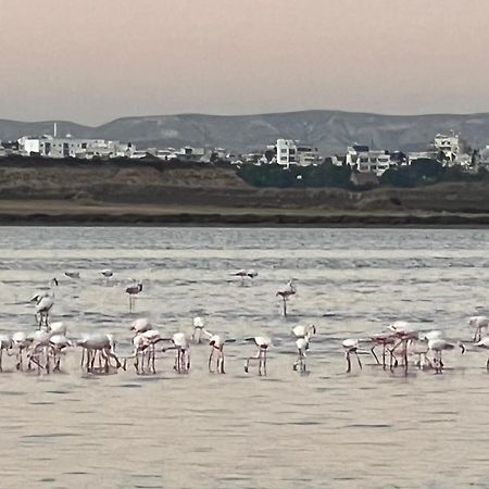 Salt Lake Larnaca Extérieur photo